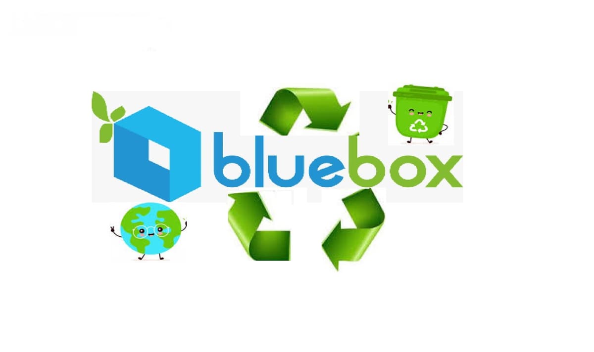 Bluebox Ecosystem